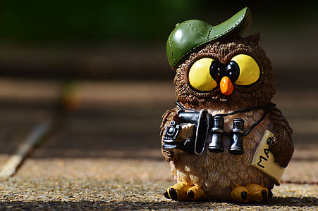 brown owl with binoculars figurine on carpet thumbnail