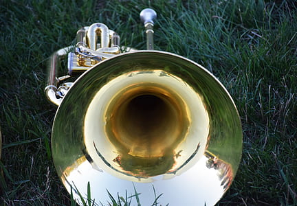 gold French horn on grass field thumbnail