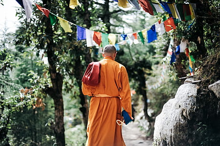 Monk Walking Near Buntings during Day thumbnail