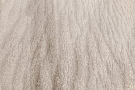 Sand texture. Sandy beach for background. Top view thumbnail
