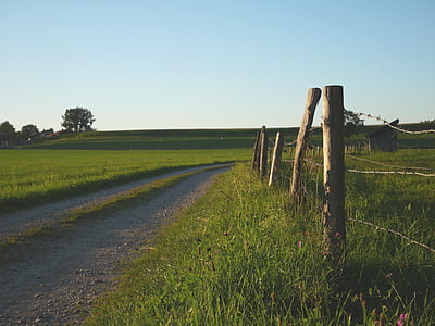 brown pathway between grass field under white sky thumbnail