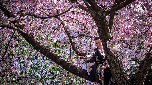 woman wearing traditional dress climbing on tree thumbnail