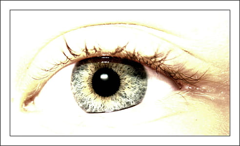 person's eye thumbnail