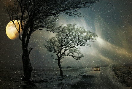 low light photographed of milky way thumbnail