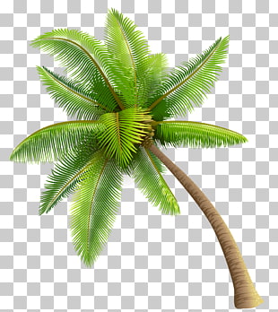 ZoLo Need Somebody (feat. Tory Lanez) Single Walk Away (feat. Tory Lanez), Green Palm Tree , green palm tree illustration PNG clipart