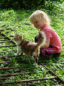 toddler holding orange tabby cat photo taken during daytime thumbnail