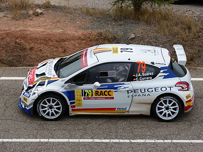 white 79 Peugeot rally car parked on street beside green grasses thumbnail