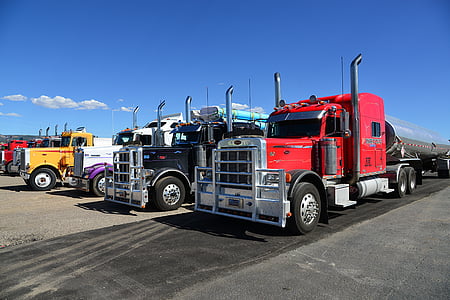four assorted-color freight trucks under blue sky thumbnail