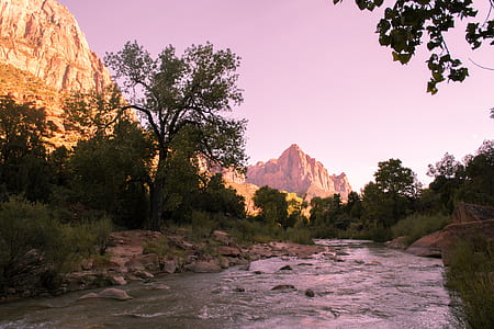 body of water between green trees at daytime thumbnail
