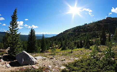 green trees near mountain thumbnail