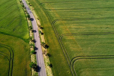 Road, trees and fields from the top thumbnail