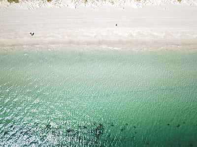 aerial photography of seashore at daytime thumbnail