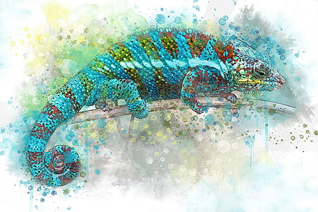 chameleon artwork thumbnail