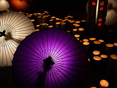 purple umbrella on black floor thumbnail