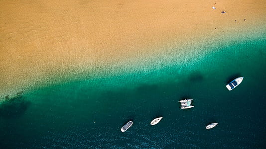 white boats on body of water beside shore thumbnail