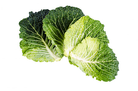 four green cabbage leaves thumbnail