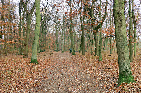 Autumn park thumbnail