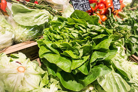Fresh green lettuce in a grocery store thumbnail