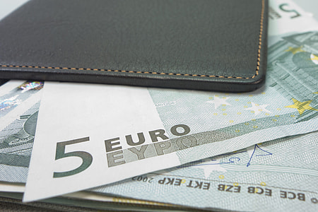 5 Euro banknote thumbnail