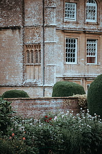 red and white flowers near brown building thumbnail