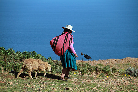 woman carrying pink and black bag standing beside sheep and body of water thumbnail