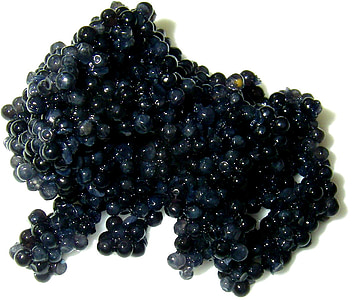 caviar on white surface thumbnail