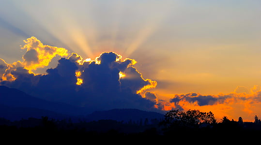 silhouette of trees during orange sunset thumbnail