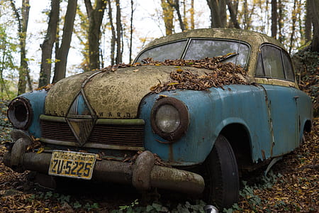 classic blue abandoned car in trees thumbnail