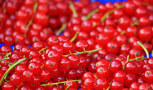 photography of bunched red berries thumbnail