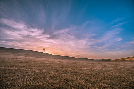 grass field during daytime thumbnail
