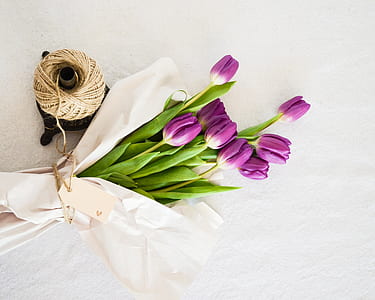 purple tulips in bloom bouquet thumbnail