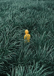 person wearing hooded jacket between green leafed plants at daytime thumbnail