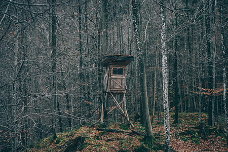 photo of tower house at the woods thumbnail