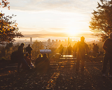 people near trees during sunset thumbnail