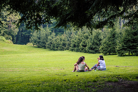 three woman sitting on grass field thumbnail
