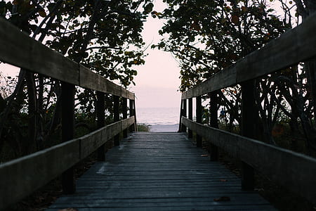 sea, beach, ocean, boardwalk thumbnail