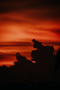 silhouette photo of trees during golden hour thumbnail