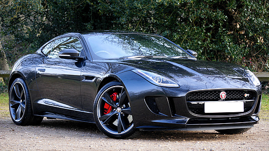 black sports coupe parking near plants thumbnail