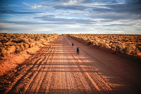 landscape photography of land thumbnail