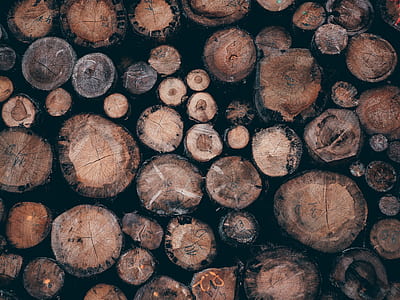 pile of log wallpaper thumbnail