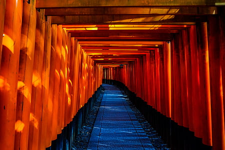 orange and black tunnel thumbnail