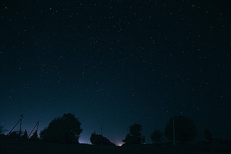silhouette of leaved trees during night time thumbnail
