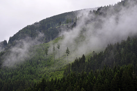 Fog rising up from the Mountainside thumbnail