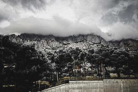 Aerial Photography of Trees and Mountains thumbnail