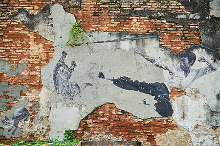 Bruce Lee kicking mural on brick wall thumbnail