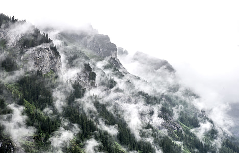 fog rising above pine trees on side of mountain at daytime thumbnail