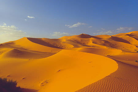 desert thumbnail
