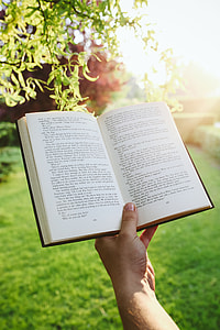 Man reading a book outdoors thumbnail