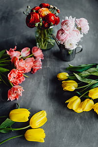 Colorful flowers on grey background with copy space thumbnail