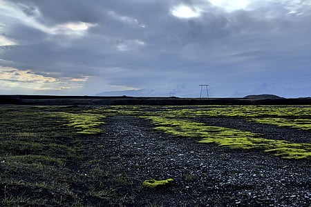 wasteland during daytime thumbnail